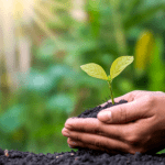 Agenor Vicente Pelissa