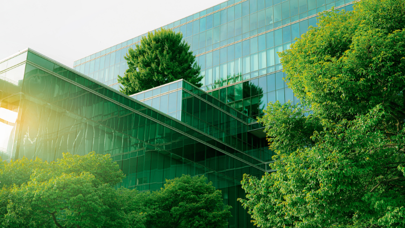 Aprenda com Cicero Viana Filho por que resiliência é essencial para empresas sustentáveis.