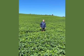 Produtividade sustentável ganha força com a recuperação de pastagens como nova fonte de renda, destaca Aldo Vendramin.