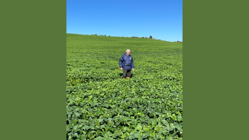 Produtividade sustentável ganha força com a recuperação de pastagens como nova fonte de renda, destaca Aldo Vendramin.
