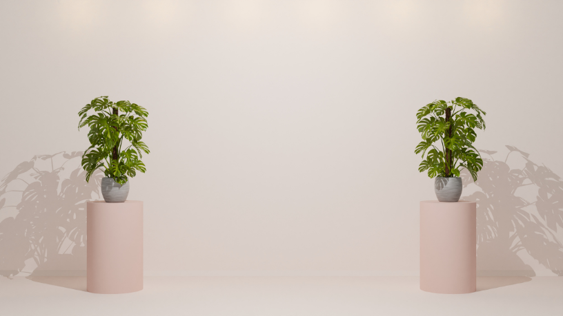 Daugliesi Giacomasi Souza