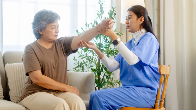 Sindnapi - Sindicato Nacional dos Aposentados, Pensionistas e Idosos