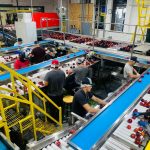 Trabalhadores separam maçãs em esteiras de uma fábrica de processamento de alimentos.